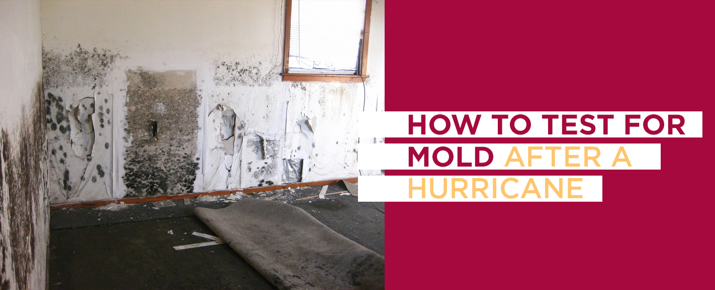 How to test for mold after a hurricane